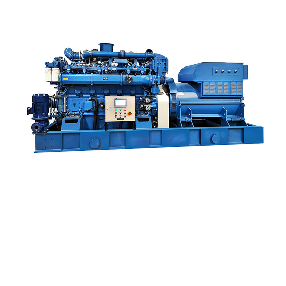 Natural Gas / Biogas Generator